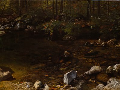 Shady Pool, White Mountains, New Hampshire, ca. 1869. av Albert Bierstadt