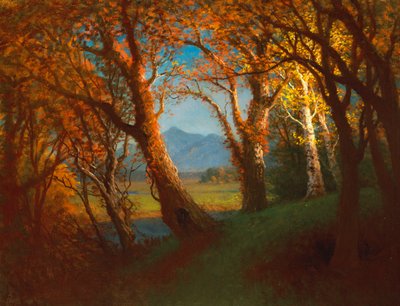 Solnedgang i Nebraska-territoriet av Albert Bierstadt