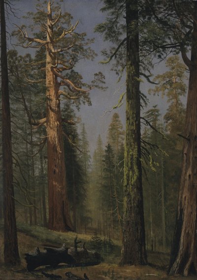  av Albert Bierstadt