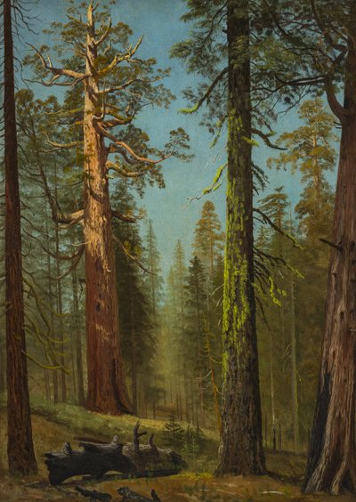 av Albert Bierstadt