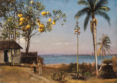 Tropisk scene av Albert Bierstadt