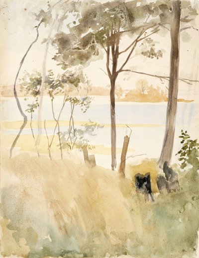  av Albert Edelfelt
