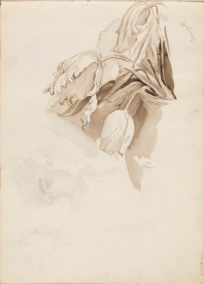  av Albert Edelfelt
