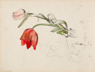 Tulipaner, ansiktsstudier av Albert Edelfelt