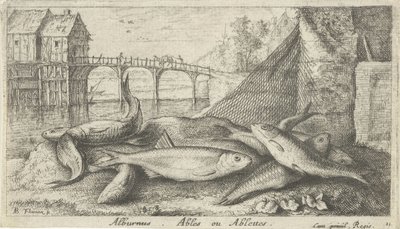 Alvers på en elvebredd alburnus. Ables eller Ablettes. (tittel på objekt) Fisk og andre sjødyr - ferskvanns andre serie (serietittel) Seconde partie de Poissons d
