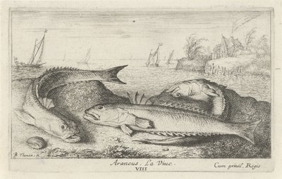 Tre flekkete tisser på stranden Araneus. LaVie. (tittel på objekt) Fisk og andre sjødyr - saltvanns andre serie (serietittel) Poissons de mer (serietittel) av Albert Flamen