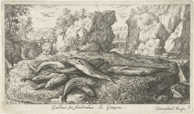 Kutlinger på en elvebredd Gabius siue fundulus. Le Goujon. (tittel på objekt) Fisk og andre sjødyr - ferskvanns andre serie (serietittel) Seconde partie de Poissons d