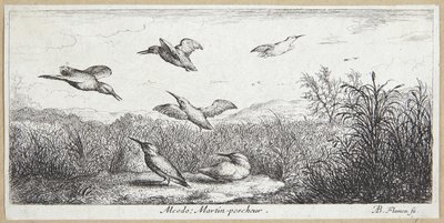 The Kingfisher (Alcedo) av Albert Flamen