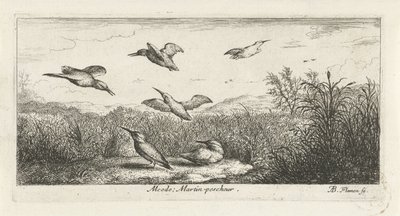 Landskap med isfugler alcedo; Martin-pecrack. (tittel på objekt) Fuglebok (serietittel) Livre d
