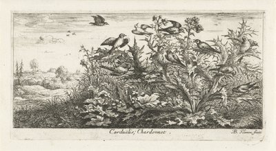 Landskap med gullfinker i tistel Carduelis; Chardonneret. (tittel på objekt) Fuglebok (serietittel) Livre d