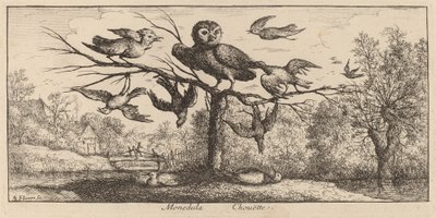 Monedula, Uglen av Albert Flamen
