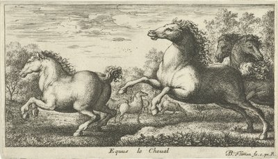 Hester Equus le Cheval (tittel på objekt) Ulike dyrearter (serietittel) av Albert Flamen