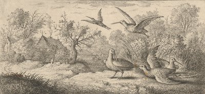 Rusticula, Beccasse The Woodcock: Livre d'Oyseaux Book of Birds, 1655-1660. av Albert Flamen