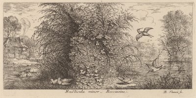 Rusticula minor, Snipe av Albert Flamen
