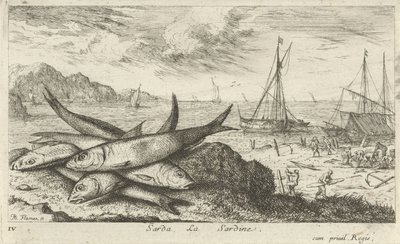Sardiner på stranden Sarda, La Sardine. (tittel på objekt) Fisk og andre sjødyr - saltvanns første serie (serietittel) Diverse Especes de Poissons de mer (serietittel) av Albert Flamen