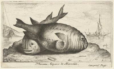 To niser på stranden Phocana, Espesce de Marsoüin, (tittel på objekt) Fisk og andre sjødyr - saltvann tredje serie (serietittel) Poissons de mer (serietittel) av Albert Flamen