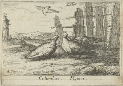 To duer ved et gjerde Columbus. Due. (tittel på objekt) Tretten fuglearter (serietittel) Diuersae Auium Specie (serietittel) av Albert Flamen
