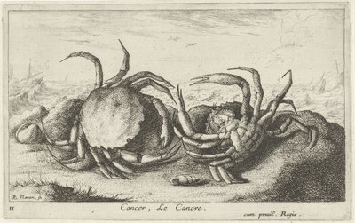 To krabber på stranden Kreft, Le Cancre (tittel på objekt) Fisk og andre sjødyr - saltvanns første serie (serietittel) Diverse Especes de Poissons de mer (serietittel) av Albert Flamen