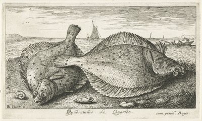 To rødspetter på stranden Quadratulus. LeQuarlet. (tittel på objekt) Fisk og andre sjødyr - saltvann tredje serie (serietittel) Poissons de mer (serietittel) av Albert Flamen