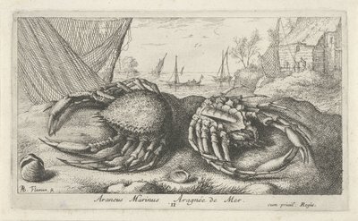 To edderkoppkrabber nær et fiskenett Araneus Marinus Aragnée de Mer (tittel på objekt) Fisk og andre sjødyr - saltvanns andre serie (serietittel) Poissons de mer (serietittel) av Albert Flamen