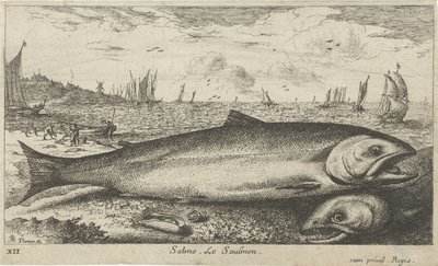 To laks på stranden Salmo. Le Saulmon (tittel på objekt) Fisk og andre sjødyr - saltvanns første serie (serietittel) Diverse Especes de Poissons de mer (serietittel) av Albert Flamen