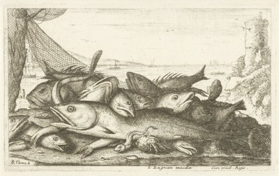 Eremittkrabbefiske Ulike fiskearter (serietittel) Diverse Especes De Poissons tant de Mer, que d