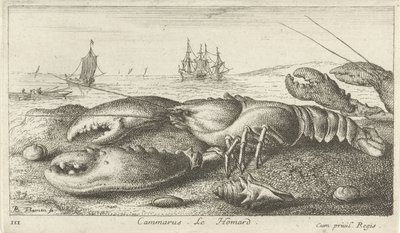 Hummer på stranden Cammarus. LeHomard (tittel på objekt) Fisk og andre sjødyr - saltvanns første serie (serietittel) Diverse Especes de Poissons de mer (serietittel) av Albert Flamen