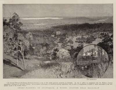 Saueoppdrett i Australia, en modellstasjon nær Ballarat av Albert Henry Fullwood