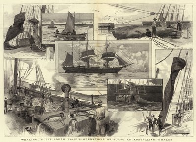 Hvalfangst i Sør-Stillehavet, operasjoner om bord på en australsk hvalfanger av Albert Henry Fullwood