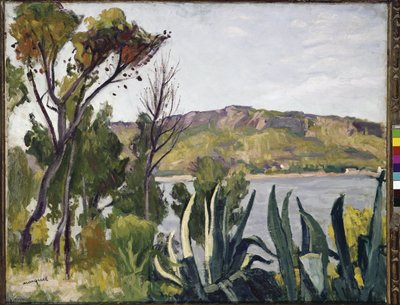 Landskap med agave. (olje på lerret av Albert Marquet