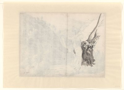 Skisse av et tre av Albert Meyering