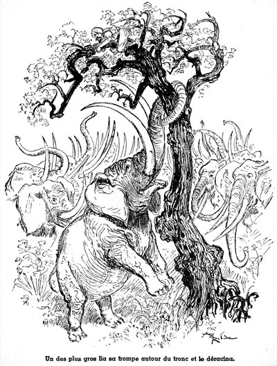 Sindbad sjømannen (Sinbad) - fortelling om de tusen og én (1001) netter - illustrasjon av en bok fra 1948 (Fortin-utgaven, Wonderful Imaging collection of childhood) som forteller sine eventyr - illustrasjon av Albert Robida (1848 - 1926) - Syvende reise : av Albert Robida