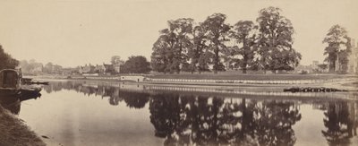  av Albert Victor Prout