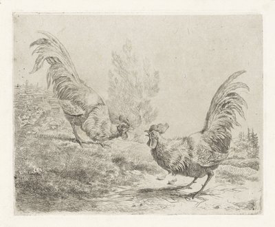 To kamphaner av Albertus Verhoesen