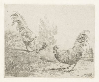 To kamphaner av Albertus Verhoesen