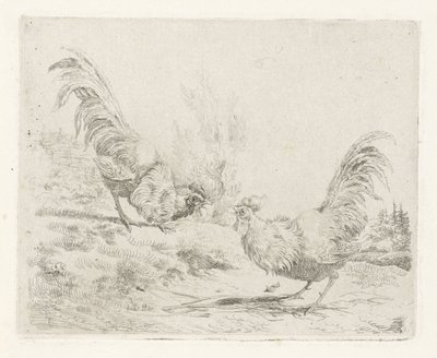 To kamphaner av Albertus Verhoesen
