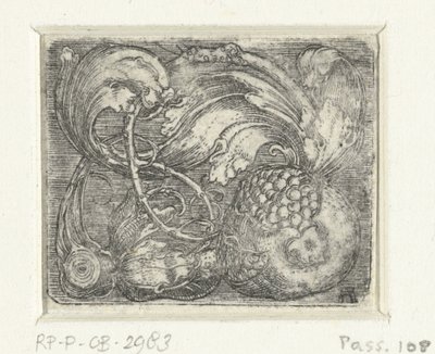 Granateple og bladranker av Albrecht Altdorfer