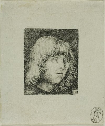 Leder for en ung mann av Albrecht Altdorfer