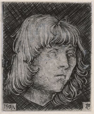 Hode av en ung mann av Albrecht Altdorfer