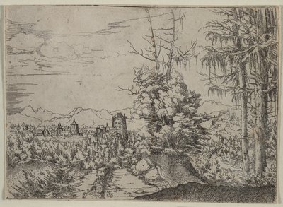 Landskap med to furutrær, 1522-1525. av Albrecht Altdorfer
