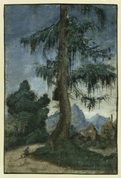  av Albrecht Altdorfer