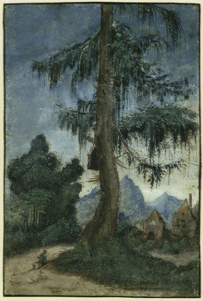 Landskap med gran av Albrecht Altdorfer