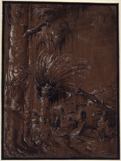 Landskap med vannmølle av Albrecht Altdorfer