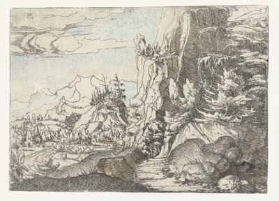 Landskap med mørk bergvegg av Albrecht Altdorfer
