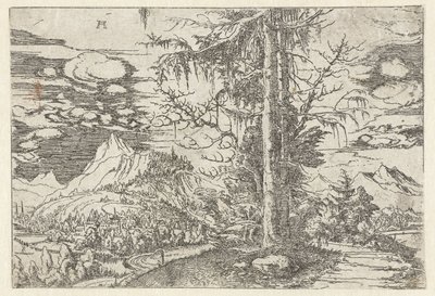 Landskap med dobbel gran av Albrecht Altdorfer