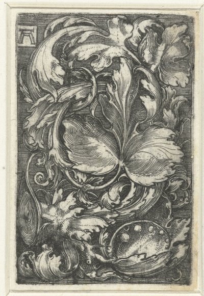 Ornament met bladranken av Albrecht Altdorfer