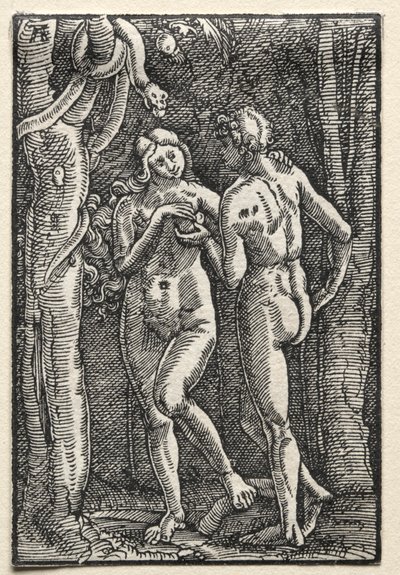 Menneskets fall og forløsning: Adam og Eva spiser den forbudte frukt, ca. 1515. av Albrecht Altdorfer