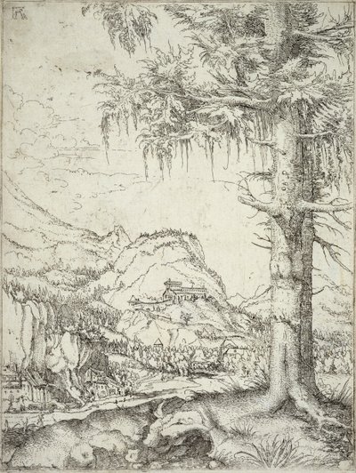 Den store gran, ca.1520 av Albrecht Altdorfer