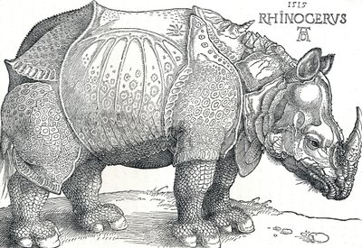 Et neshorn, 1515, 1906 av Albrecht Dürer