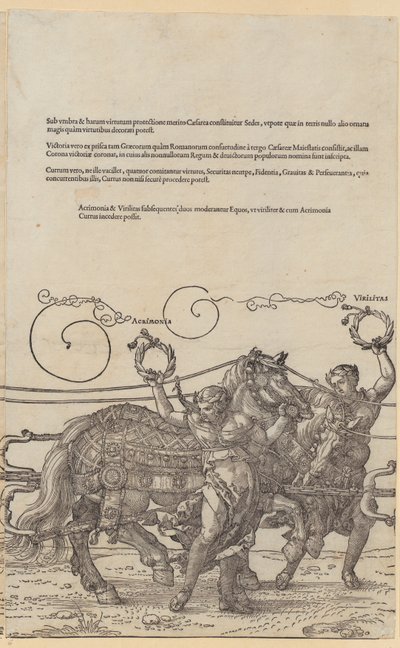  av Albrecht Dürer